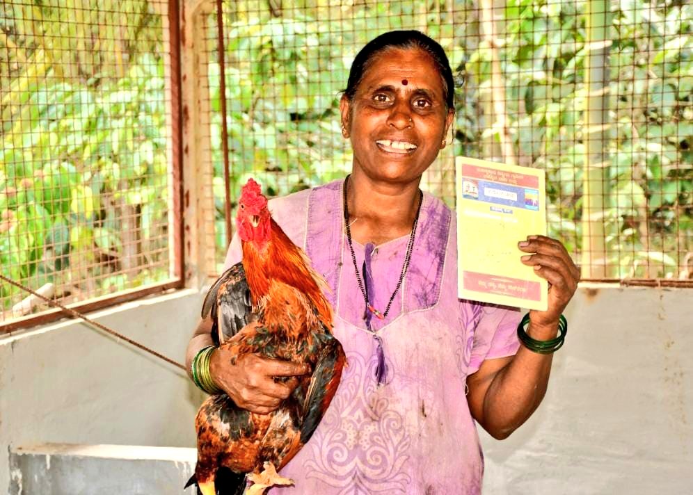 VBGRAMGKAR's tweet photo. ಚಿಕ್ಕಮಗಳೂರು ಜಿಲ್ಲೆಯ ಕೊಪ್ಪ ತಾಲ್ಲೂಕಿನ ಬಿಂತ್ರವಳ್ಳಿ ಗ್ರಾಮ ಪಂಚಾಯಿತಿಯ ತಲಮಕ್ಕಿ ಗ್ರಾಮದ ನಿವಾಸಿಯಾದ ಶ್ರೀಮತಿ ಜಯಂತಿಯವರು #ಮಹಾತ್ಮಗಾಂಧಿ_ನರೇಗಾ ಯೋಜನೆಯಡಿ ಕೋಳಿ ಶೆಡ್ ನಿರ್ಮಿಸಿಕೊಂಡಿದ್ದಾರೆ.
ಪ್ರಸ್ತುತ ಒಂದು ನೂರು ಕೋಳಿಗಳನ್ನು ಸಾಕುತ್ತಿರುವ ಜಯಂತಿಯವರು ಉತ್ತಮ ಆದಾಯ ಗಳಿಸುತ್ತಿದ್ದೇನೆ ಎಂದು ಸಂತಸ ಹಂಚಿಕೊಂಡಿದ್ದಾರೆ. https://t.co/hkNouLWi3D