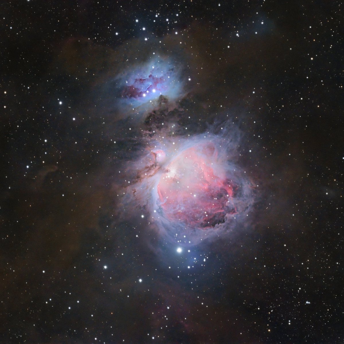 The Great Orion Nebula! Orion's Sword seen in a close up telescopic image! #space #photography #telescope #Astrophotography