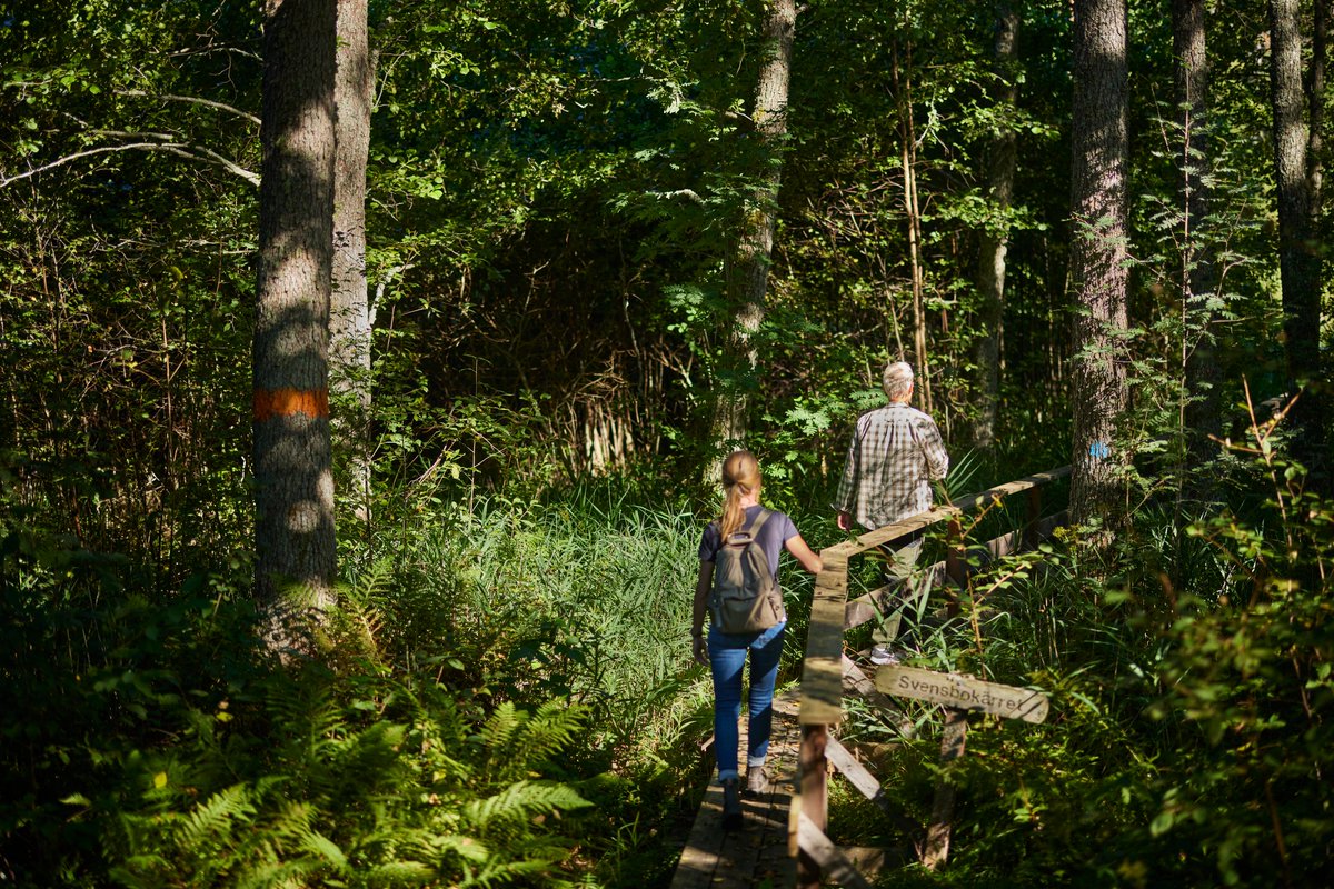 Skogen nära våra tätorter ser annorlunda ut jämfört med övrig skog visar statistik som Skogsstyrelsen tagit fram för första gången. Här ser du på vilket sätt: skogsstyrelsen.se/nyhetslista/sk…