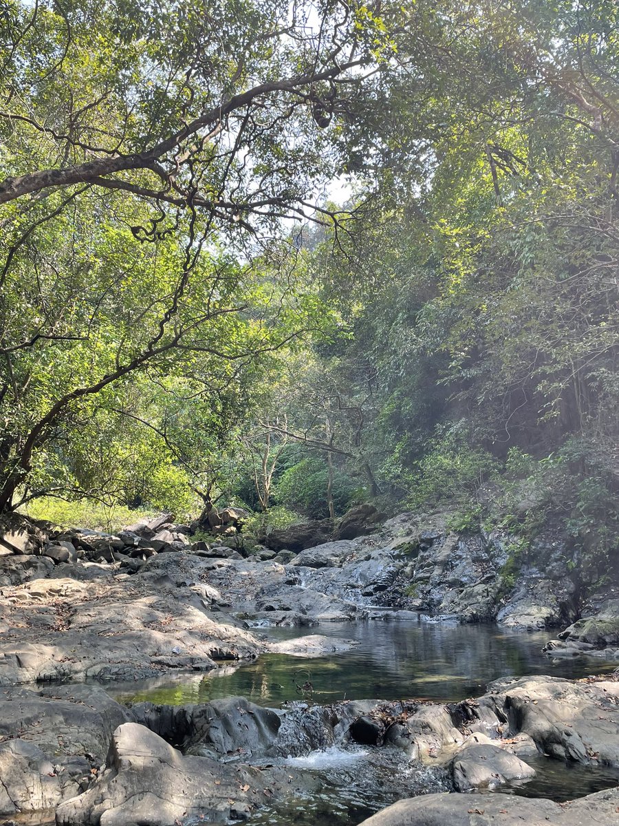 PAmonker's tweet photo. The real #Goa https://t.co/Y0eUUpOgUx