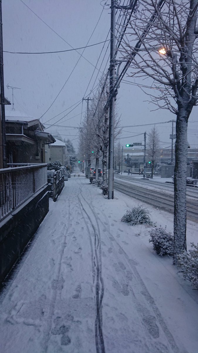 ラレス tweet media