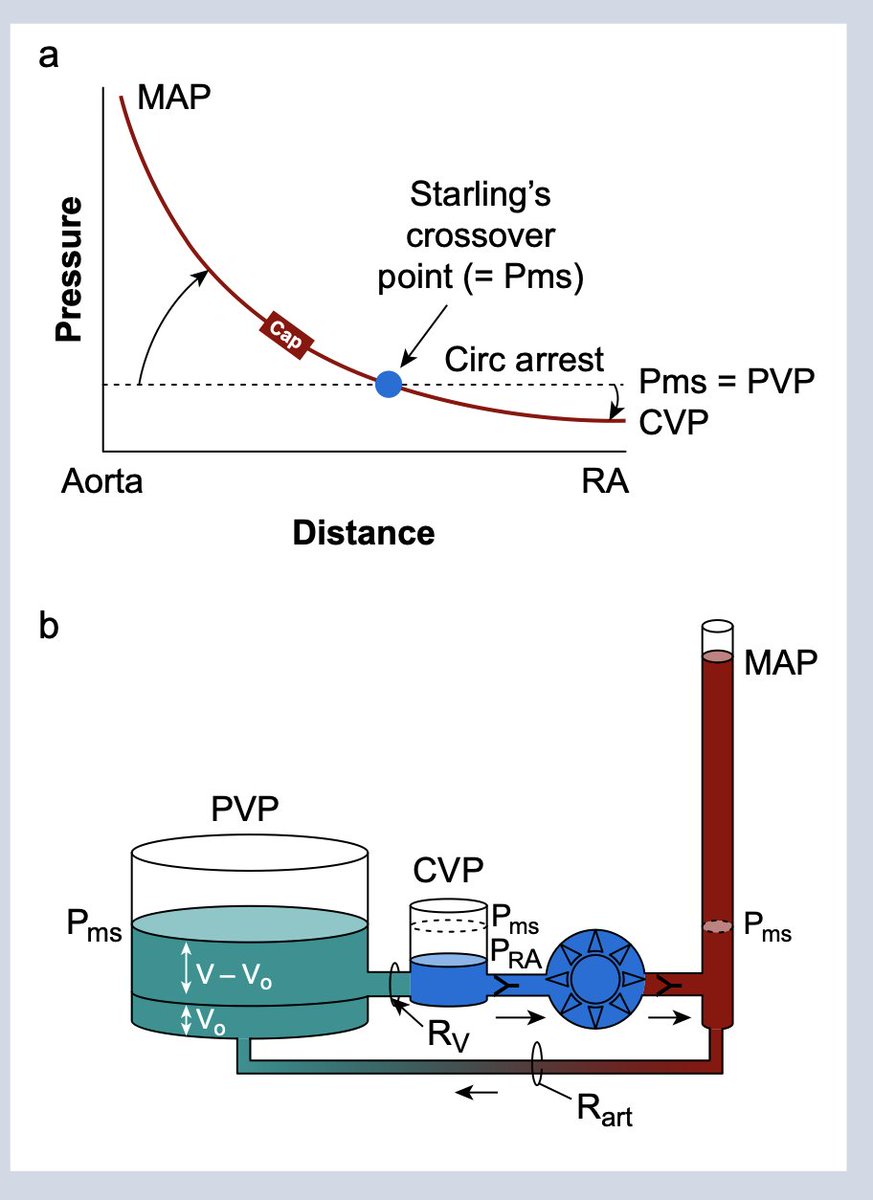 Editorial by Munis revisits William Harvey's circulatory system model, advocating a holistic approach beyond segmental analysis like pressure-volume loops for comprehensive cardiovascular insight. #Anaesthesia 

doi.org/10.1016/j.bja.…