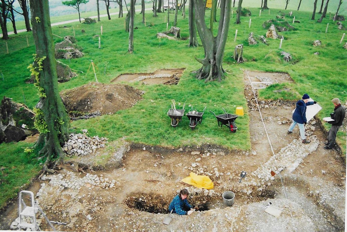 Durotriges Project tweet media