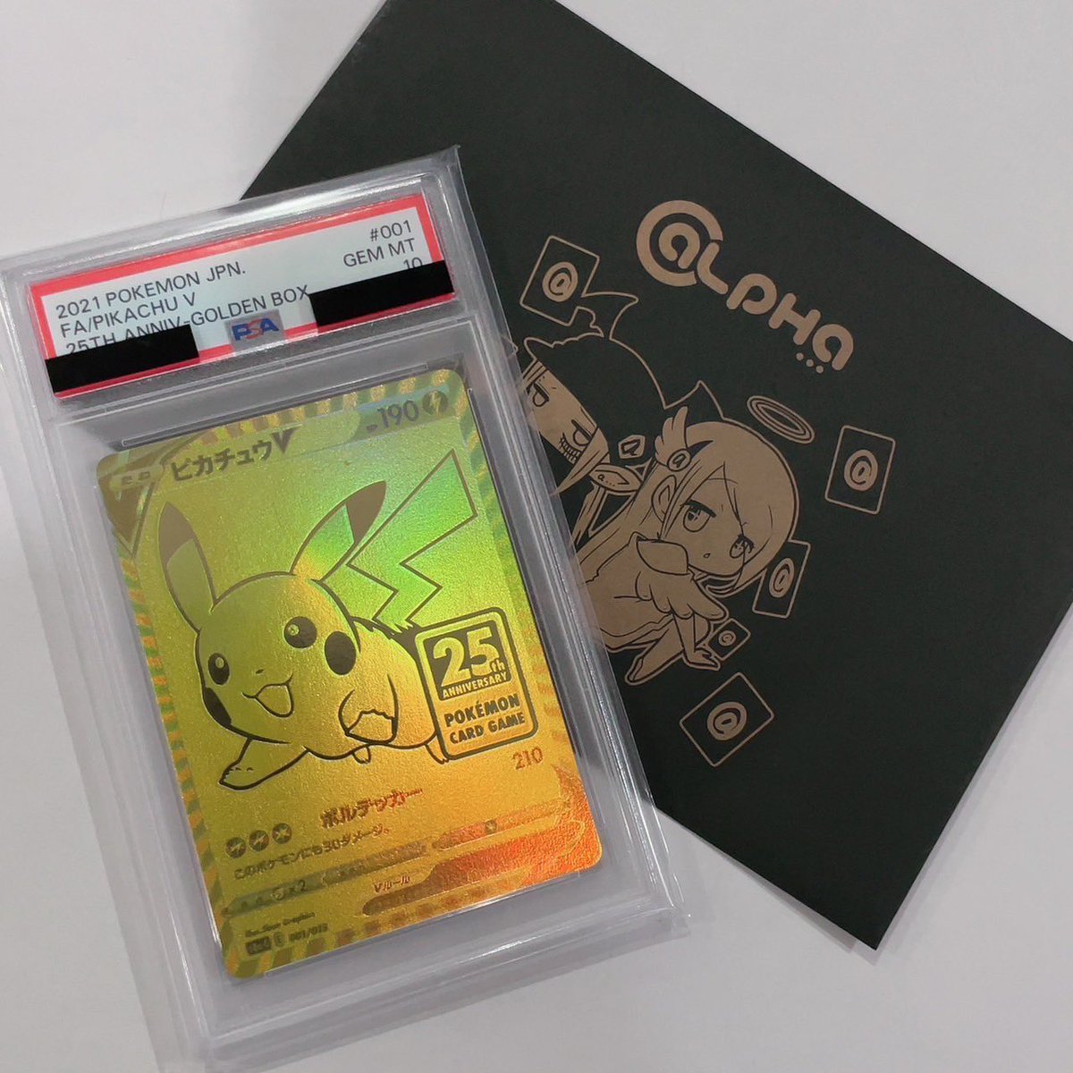 ゆずきぃ 洗える】シアーギャザー ハイネック ニット(508469343) | 23区