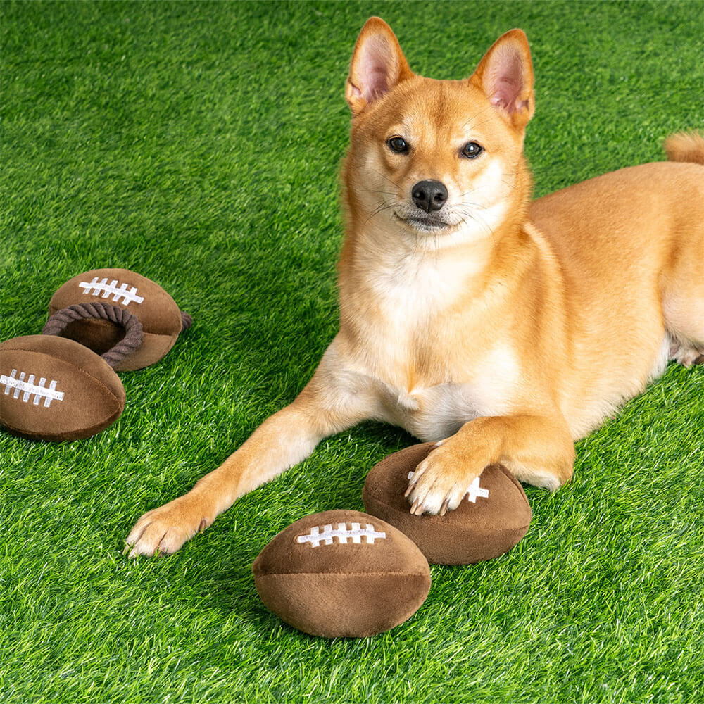 FUNNYFUZZY_PET tweet media