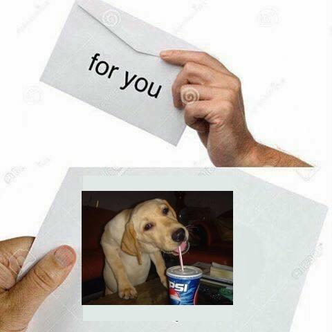 ShitpostBot 5000 tweet media