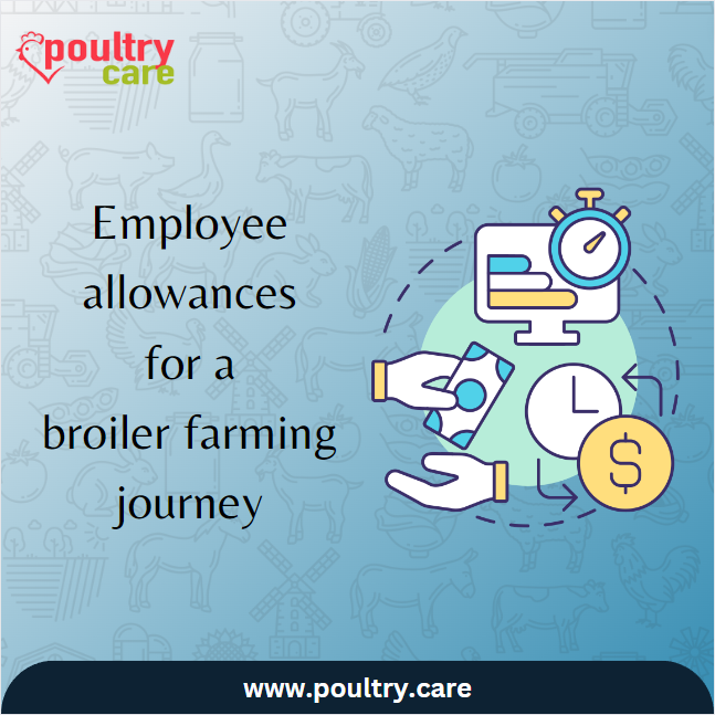 Employee allowance claiming in Contract Broiler Farming sparking your curiosity?[ poultry.care/blog/optimizin… ] Uncover insights on effective allowance management, transforming your farm's operations. #PoultryCare #EmployeeAllowances #FarmProsperity #ManagementInsights