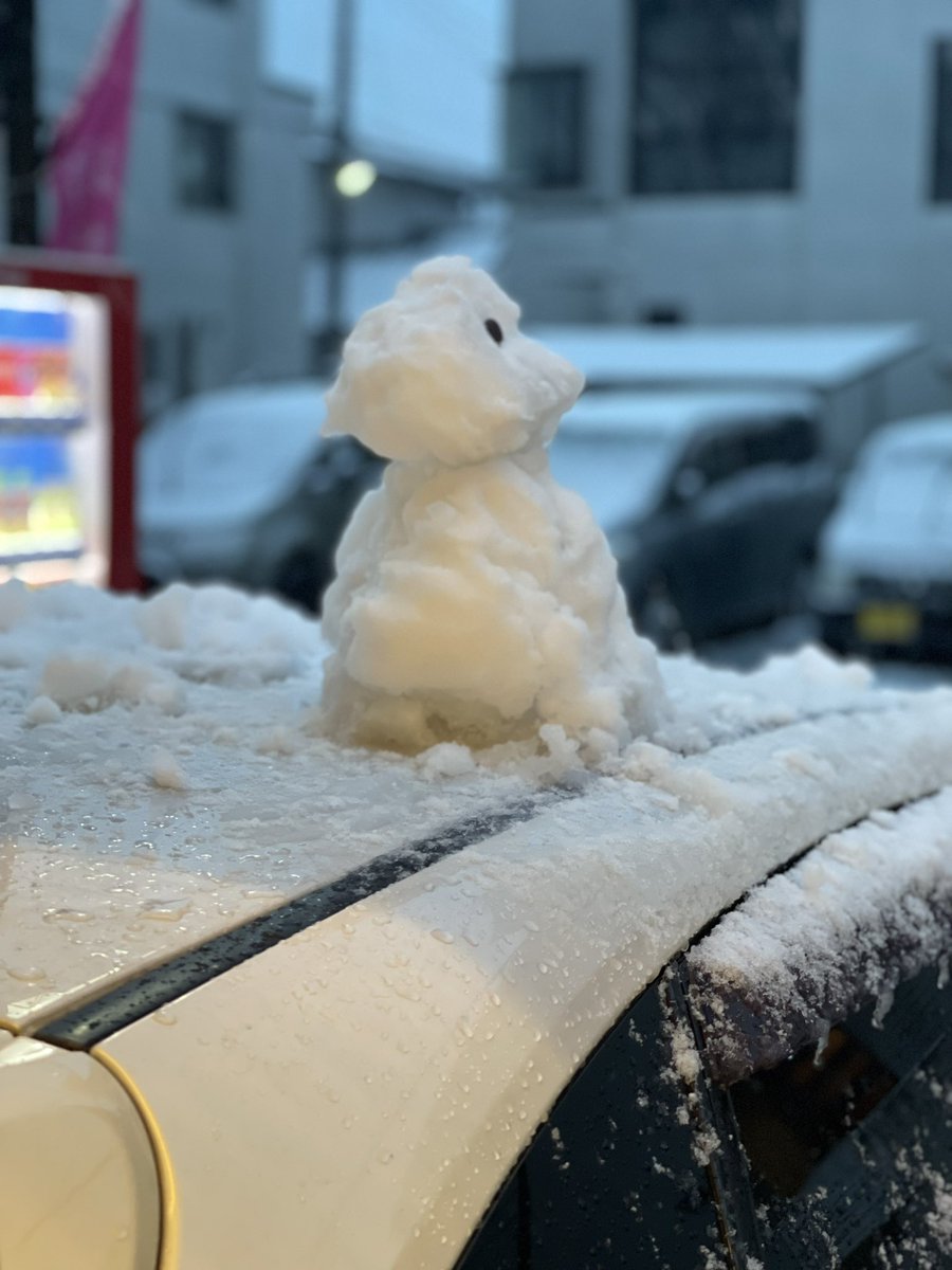 雪だるま作ったつもりが哀愁漂う何かになった