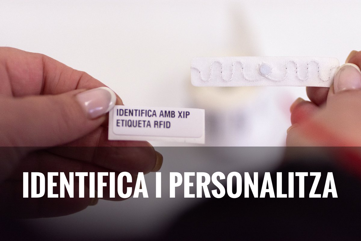 Grupdem Sccl tweet media