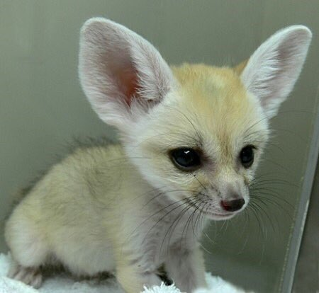 ???: 오빠도 서른이다 얘드라