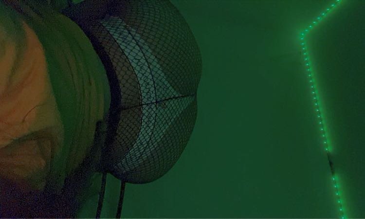 NoxKyss's tweet photo. Play With Me? Or MW3 🤭💕?. https://t.co/BGB4DNBqQg