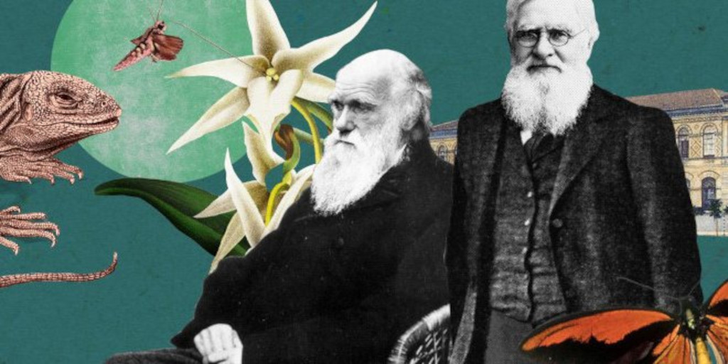 Disfruta del Museo de manera exclusiva y a puerta cerrada... 🔬 
«La Noche de Darwin y Wallace 2024» en el <a href="/mncn_csic/">Museo Nacional de Ciencias Naturales</a> 👉 bit.ly/3w4pEwm 
#Ciencia