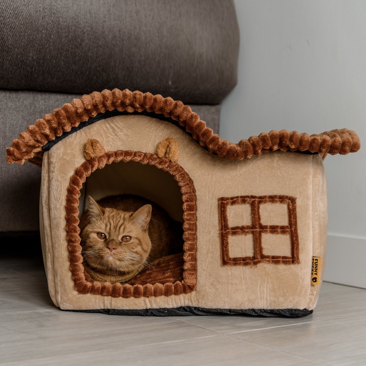 FUNNYFUZZY_PET tweet media