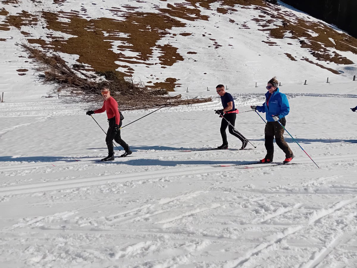 Daisy 'Duke' Coleman tweet media