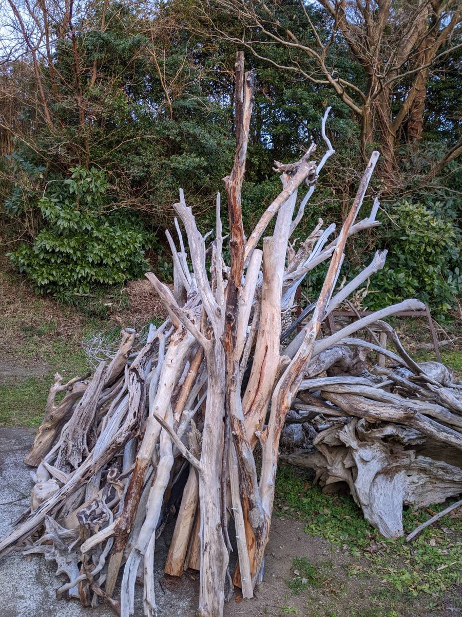 YumikoS10's tweet image. swimmy
2.9から始まるアトリエ三月@yh_sangatsuのグループ展に出品します。
和紙を中心の作品と流木を中心の作品の2点を出品します。
　写真は裏側になって見えなくなってしまう部分と流木をわけていただいた静岡県沼津流木の森の様子。
＠dragontamasan

#アトリエ三月
#swimmy
#グループ展
#大阪