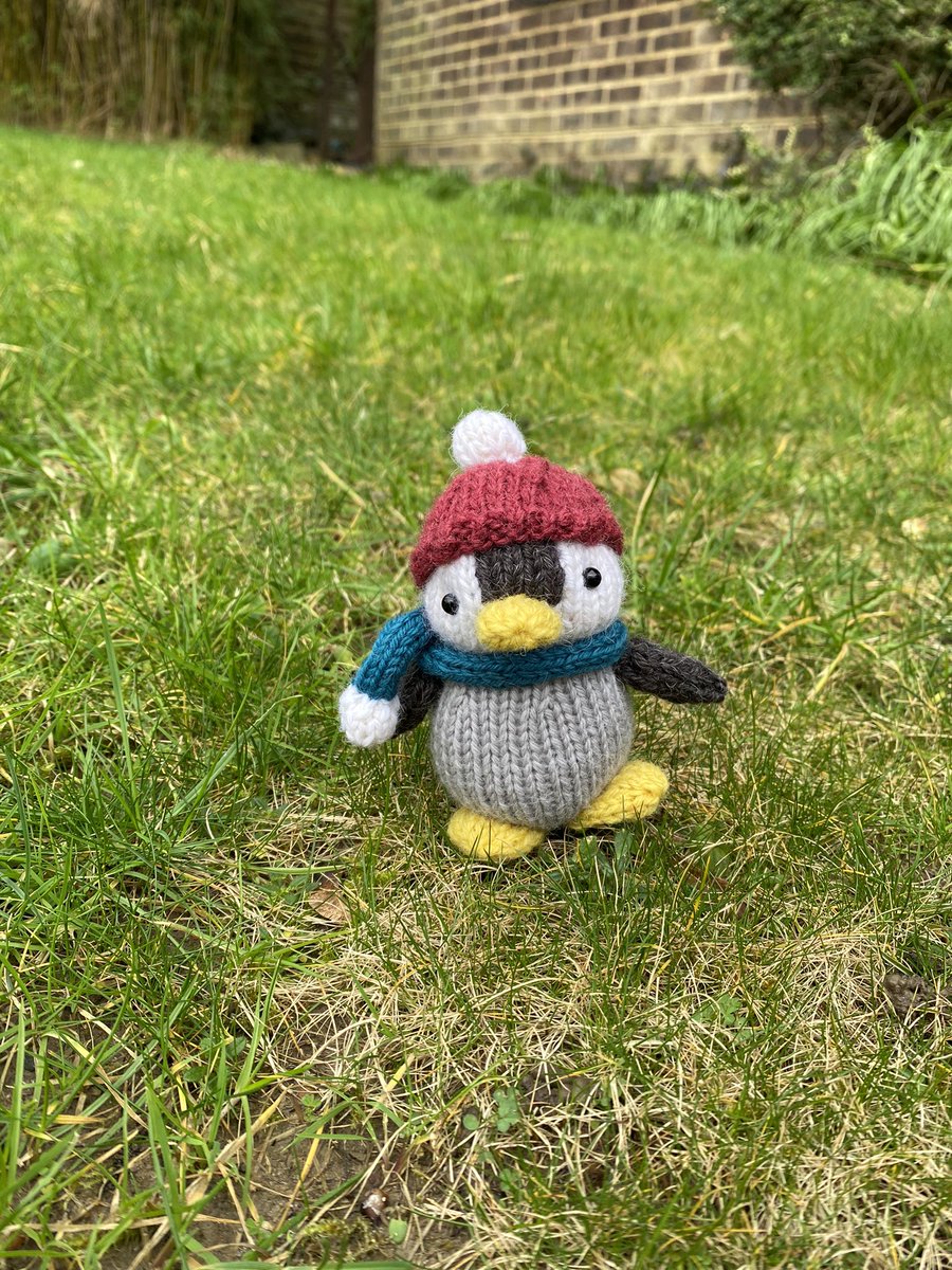 Sachiyo Ishii tweet media