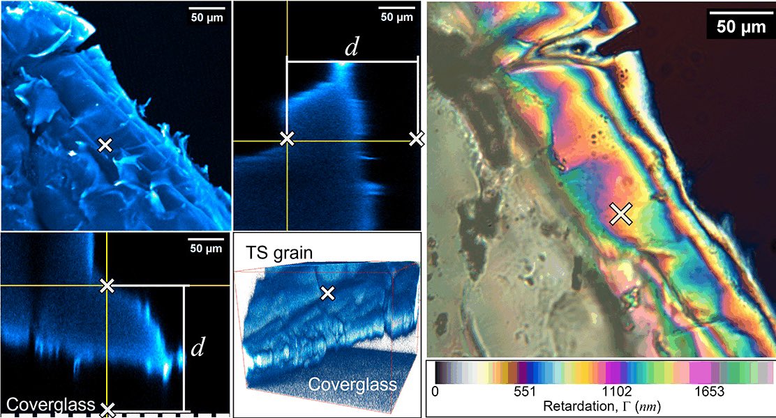 We also conducted a range of optical characterisation experiments to verify the imaging performance of our transparent soil systems, which demonstrated the robustness of the platform and offered insights for designing bespoke culture conditions for other bacteria.