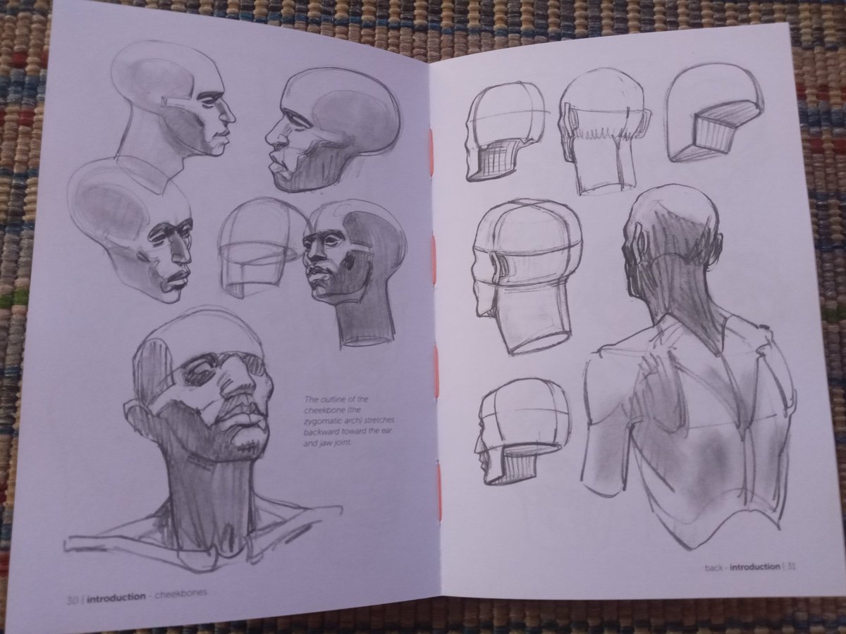 4. Morpho Simplified Forms - Anatomy for Artists by Michael Lauricella. 

Bukunya mungil, tapi ini serious book for art study. Full of insights dan examples. 👍

https://t.co/Upn461PjvV 