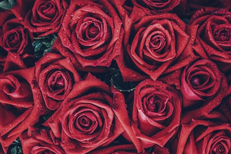 ProductFundi's tweet photo. Valentine’s Day Gift Ideas

Order a gift for your special someone online – Skip the queues, hassle, and limited items to choose from in retail shops

https://t.co/y8LWSQry2q https://t.co/3PtoKU0zW4