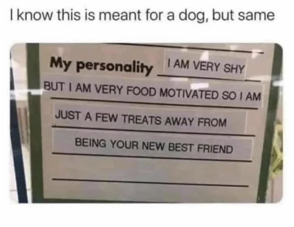 RespectfulMemes's tweet photo. https://t.co/qDXh1D1vD0