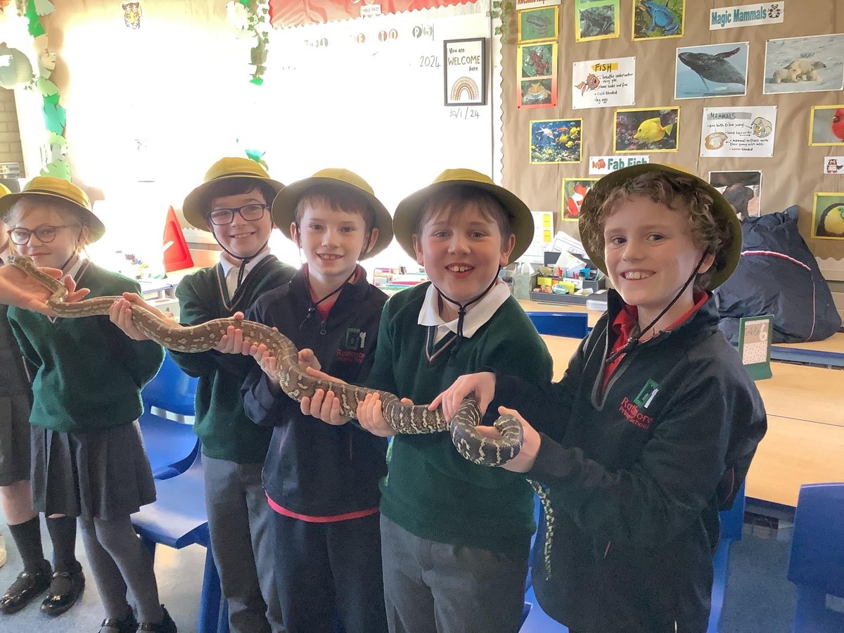 Thanks to ⁦Allan ⁦<a href="/WeeCrittersNI/">Wee Critters</a>⁩ who visited P5. He brought a cockroach, a tarantula, a toad, a snake, an owl and a skunk to our classrooms!! 🕷🐍 So many interesting facts to share with the children as part of their ‘Go Wild' theme. 😃