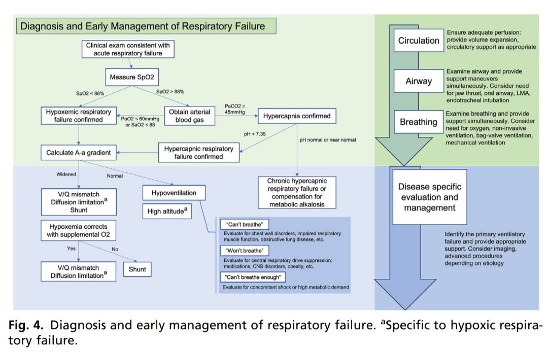 Acute Respiratory Failure. doi.org/10.1016/j.ccc.… 🫁❤️🧠🎞🩺💉🗣📚 @EuroRespSoc @atscommunity @UMich @ALATorax @SeparRespira @HUReinaSofia @NeumoNat @SPLF_SocPneumo @pneumosbpt @socapnet @NeumoMadrid @PulmPEEPs @NeumoMadrid @EnfermeriaSepar @Lungeninfo @BTSrespiratory @accpchest