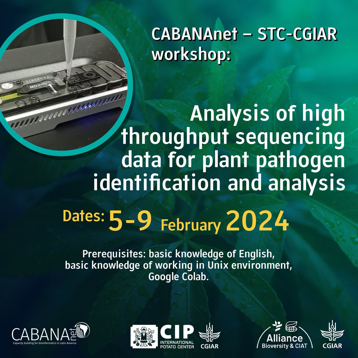 WJCuellar's tweet photo. About to start our joint International workshop on HTS sequencing for plant #pathogen  identification organized by CABANAnet/STC-CGIAR en la @untrm en Chachapoyas #Peru

@BiovIntCIAT_eng @CabanaGcrf @Cipotato https://t.co/glCgPxR0wd