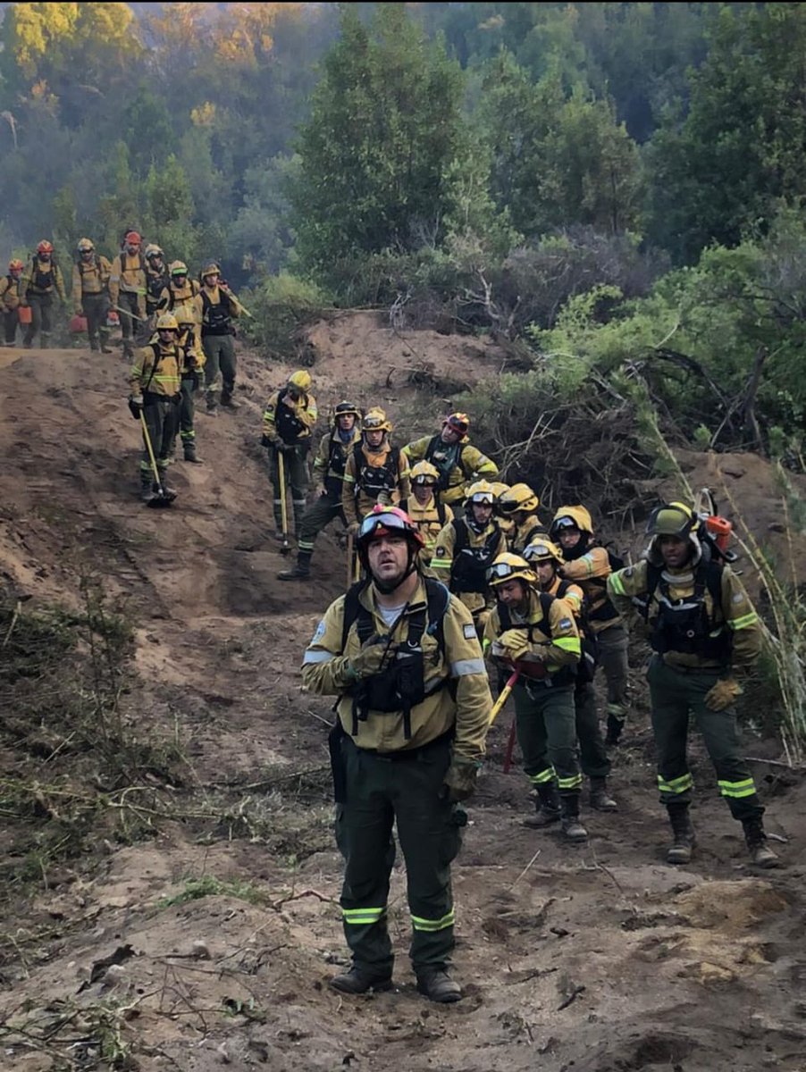 Cuando una foto no necesita un epígrafe 
<a href="/JMilei/">Javier Milei</a> 
<a href="/VickyVillarruel/">Victoria Villarruel</a> 
#IncendiosForestales 
#LosAlerces
