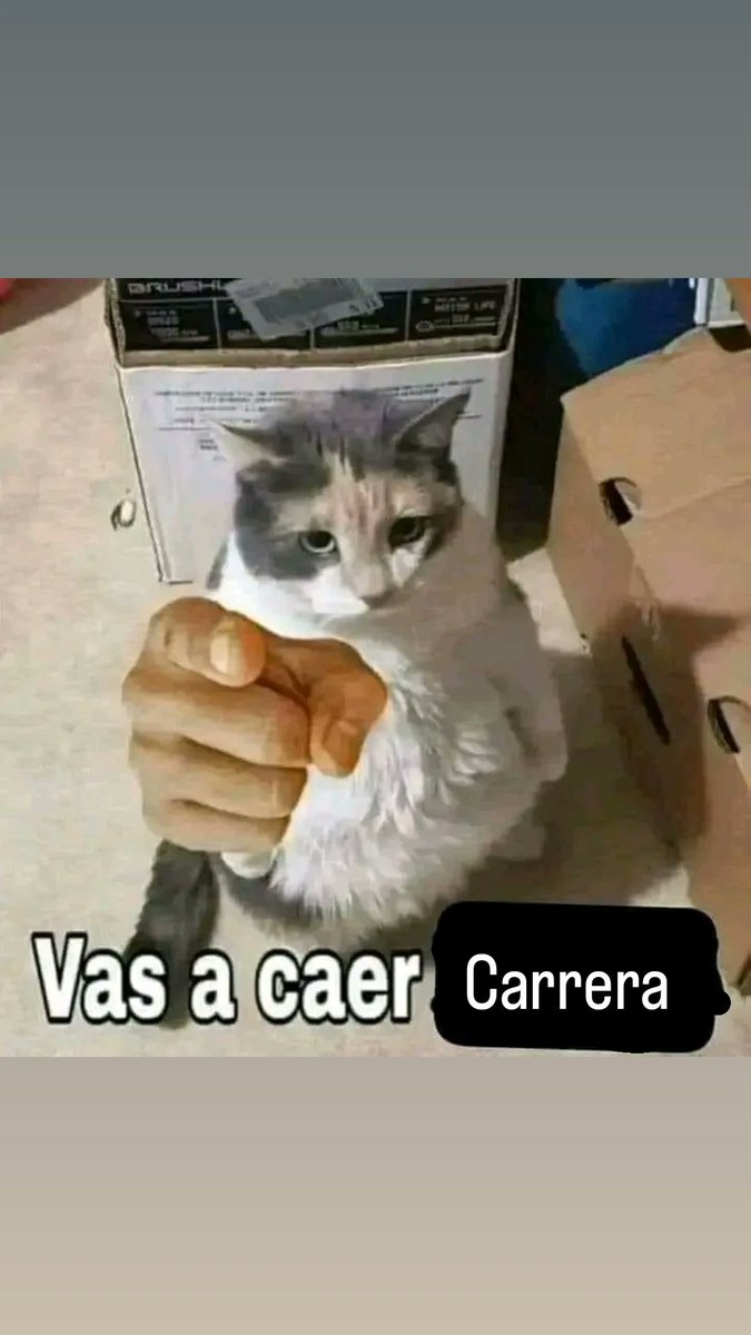 Davidm_457's tweet photo. @CalabeGang https://t.co/7PEsJOOxEG