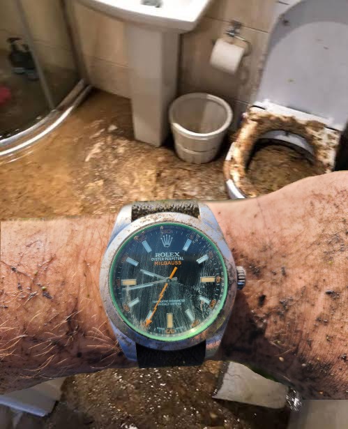 Linkies are getting rich again