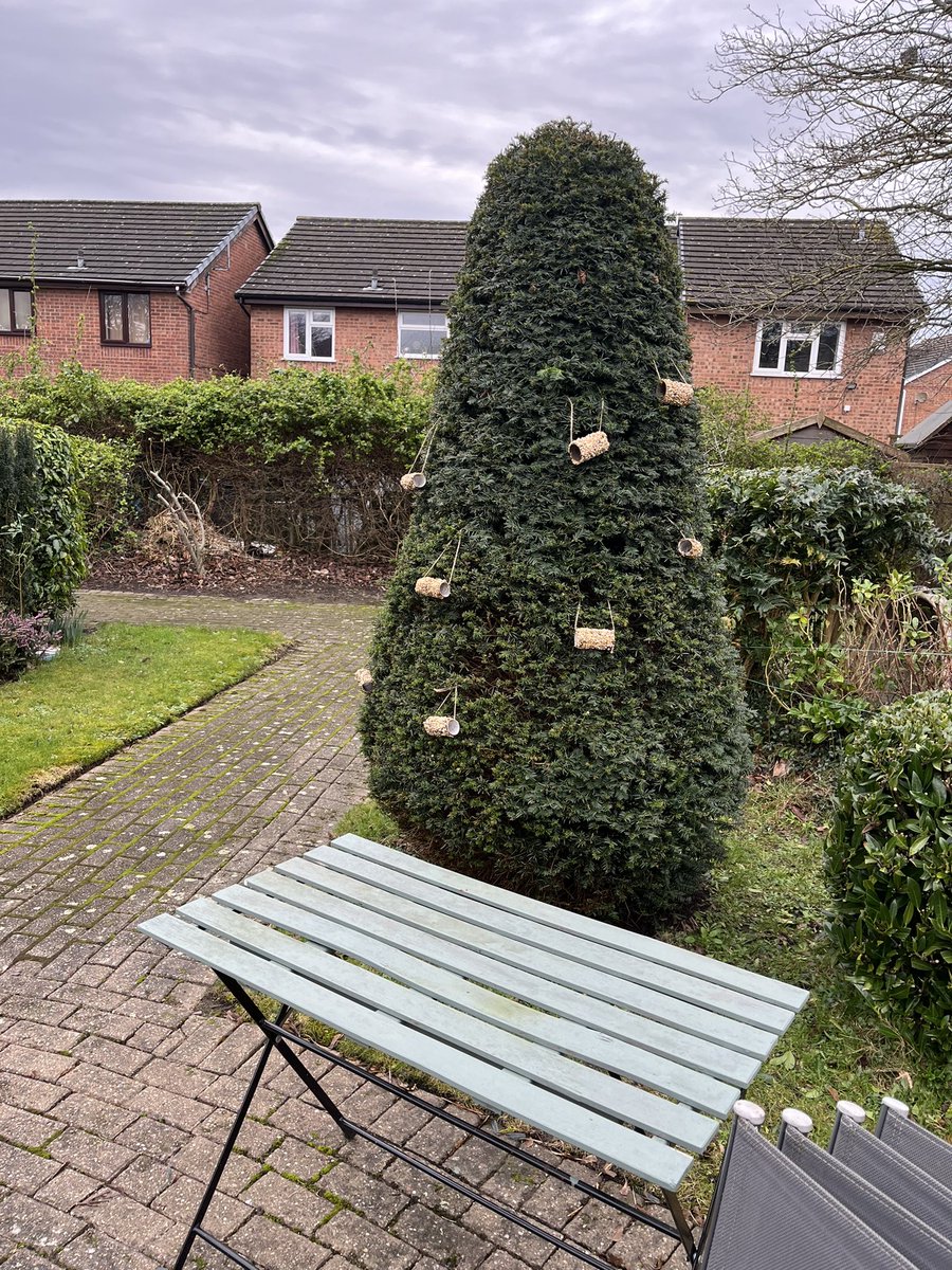 Lorna Clare tweet media