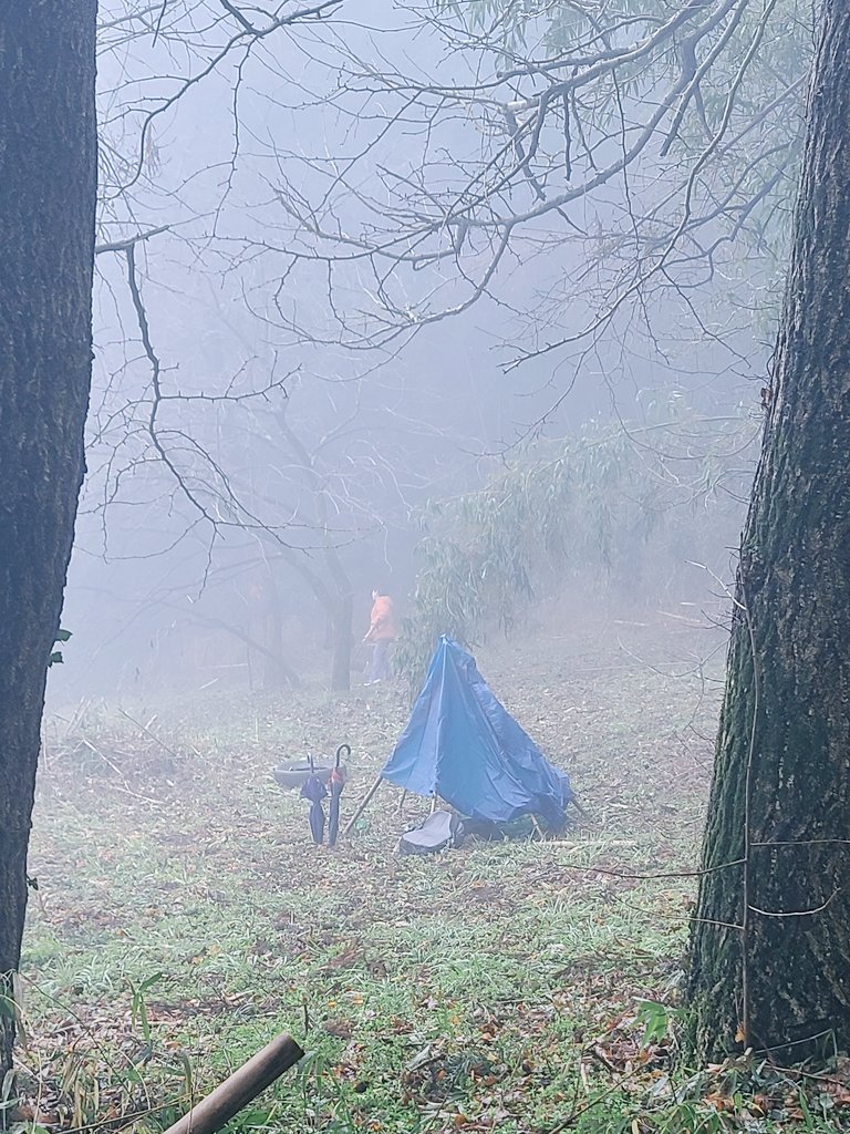 息子らが、秘密基地…って楽しそうなことしてる。
血は争えぬ。
100均の自転車カバーと、竹でテント作るとか…
やるやん。笑

#息子たちの秘密基地
#こそっと見に行く
#今度一緒にあそぼ
#我が家の敷地です
#自転車カバーでテント作るやつ
#血は争えぬ
#完成が楽しみ
#田舎の遊び
#ローコストキャンプ