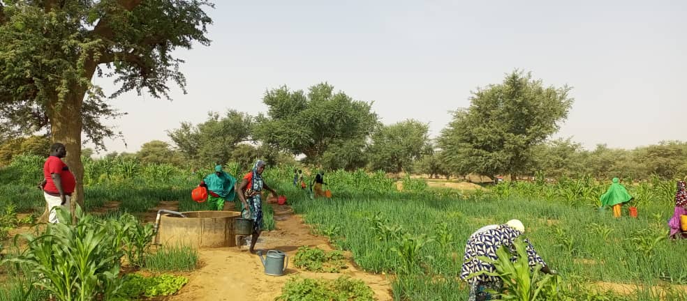 WHH Niger-Welthungerhilfe tweet media