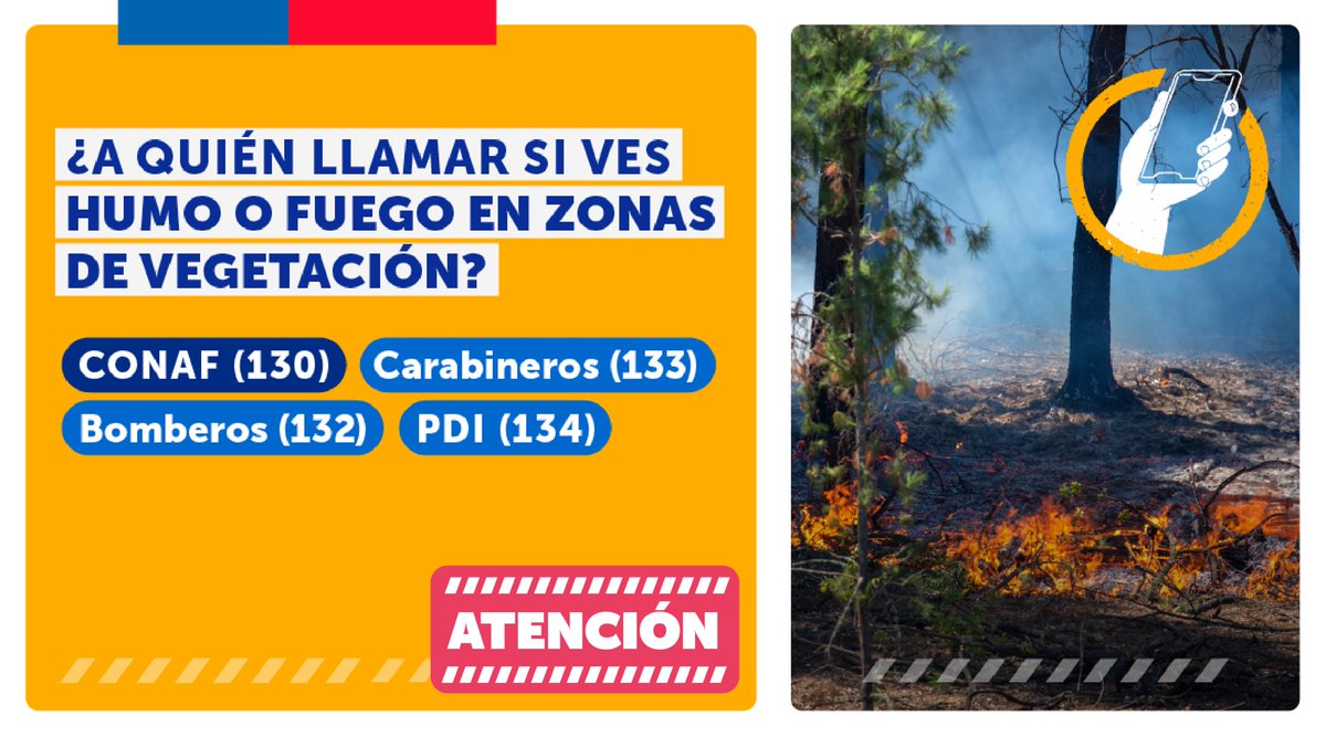 Segpres's tweet photo. ⚠️Ante las emergencias por los incendios en distintos puntos del país, tomar todos los resguardos para protegernos a nosotros y a nuestras familias es primordial.

Si ves humo o a alguien ocasionando un incendio, no dudes en llamar a @conaf_minagri al 130 📲. https://t.co/RM1k0DNN0Q