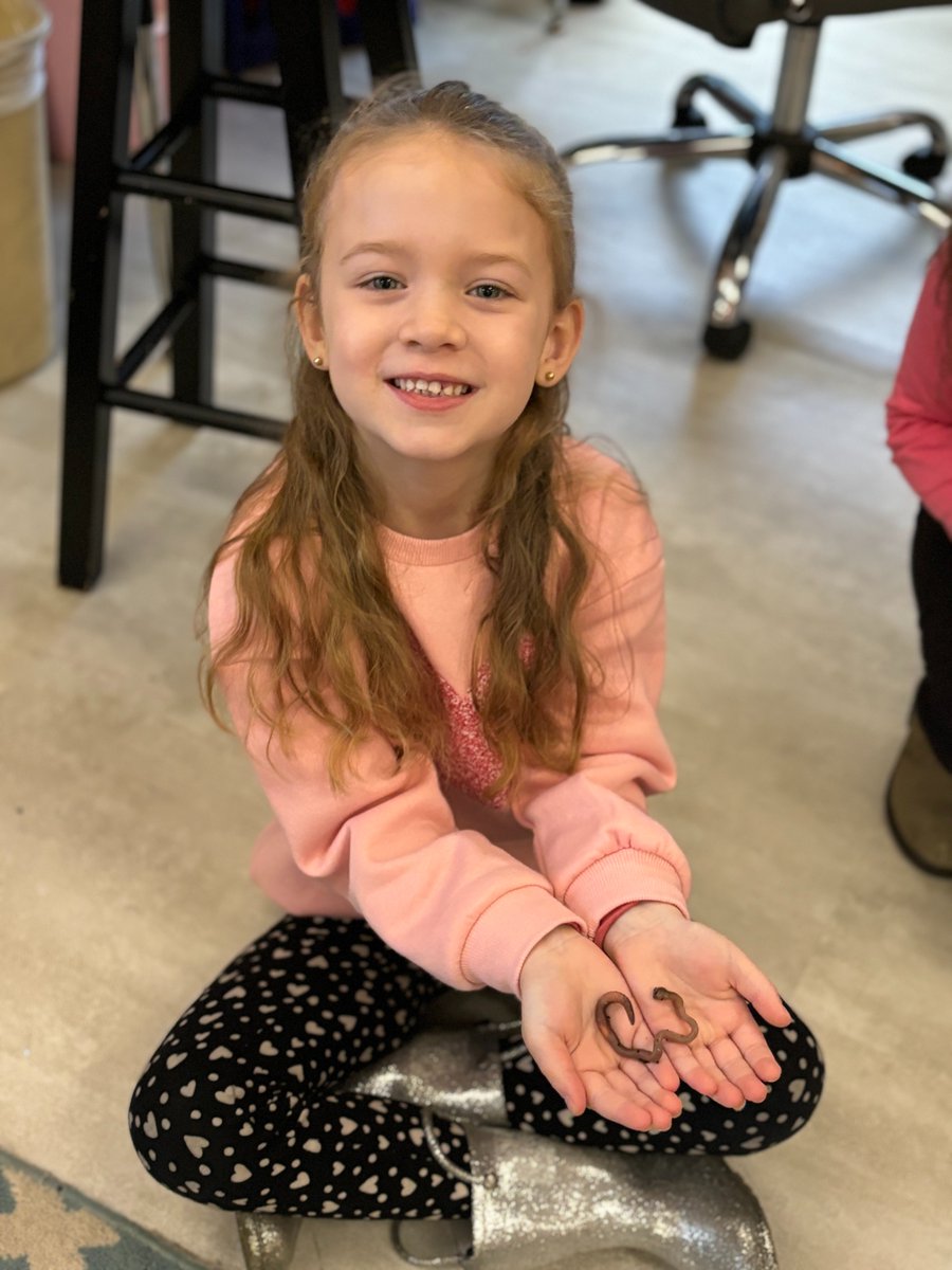 Holly Springs STEM tweet media