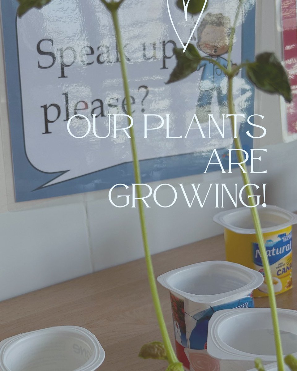 María Burriel tweet media