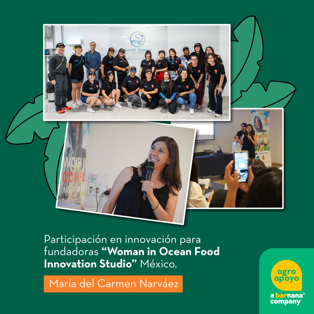 AgroapoyoEc's tweet photo. Participamos en el programa "Women in Ocean Food Innovation Studio" en México con @hatchblue1. Aprendimos mucho y ahora estamos listas para crecer como Agroapoyo. 🌊💪 #InnovaciónFemenina #AgroapoyoEnAccion https://t.co/xlOXFZZDfV