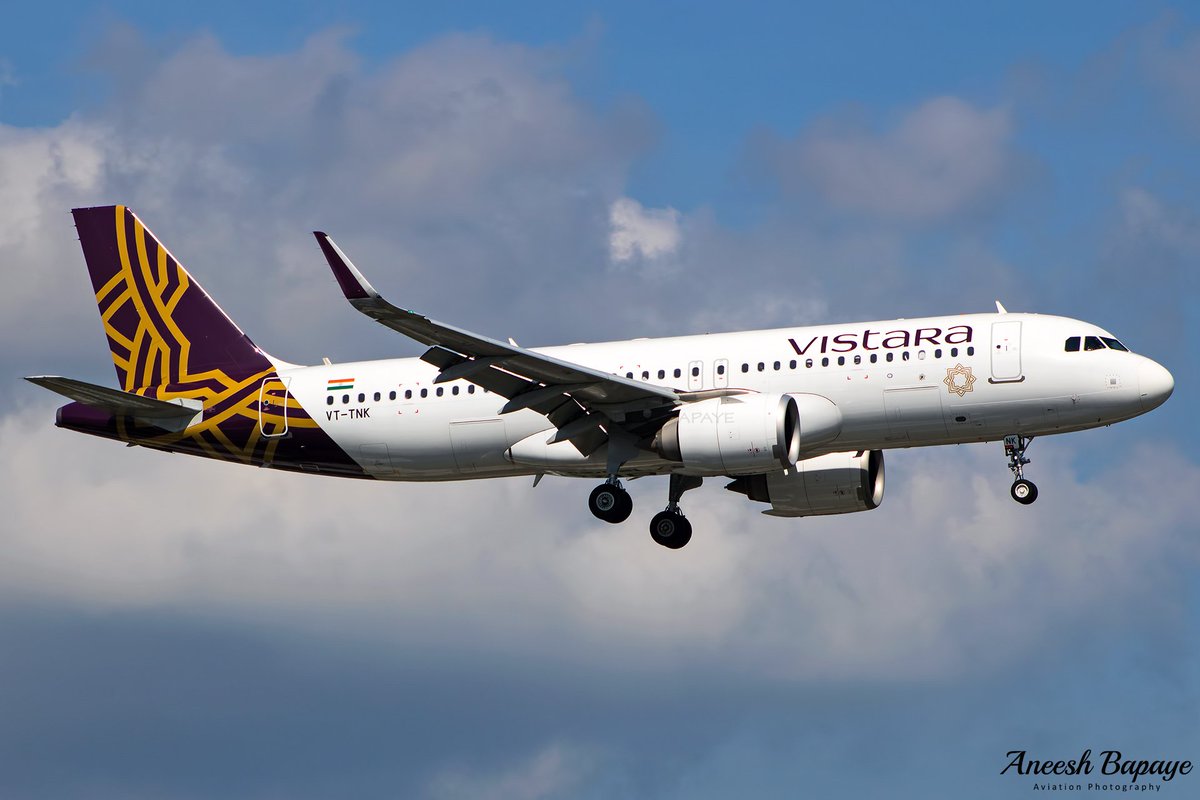 aneesh_bapaye's tweet photo. @airvistara @Airbus A320-251N [VT-TNK] on short final rwy 14 at @CSMIA_Official Mumbai . 

#airvistara #spotvistara #vistara #airbus #airbusa320 #a320neo #v1images https://t.co/Lcejk8BnIt