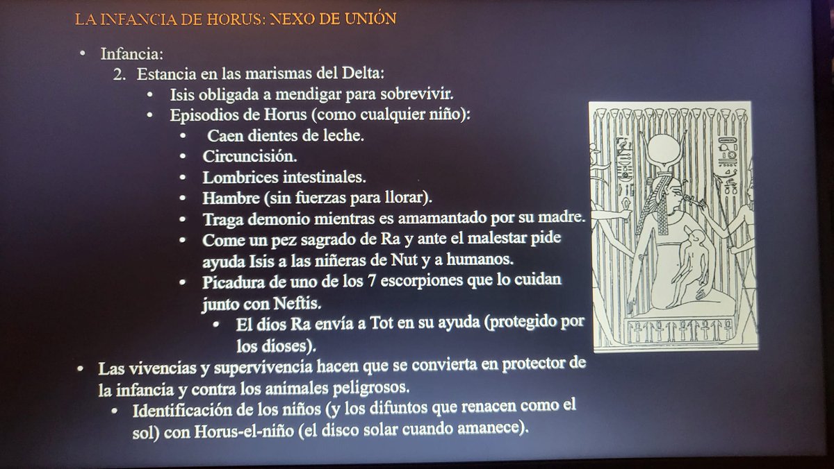 Museo Arqueológico Provincial de Badajoz tweet media