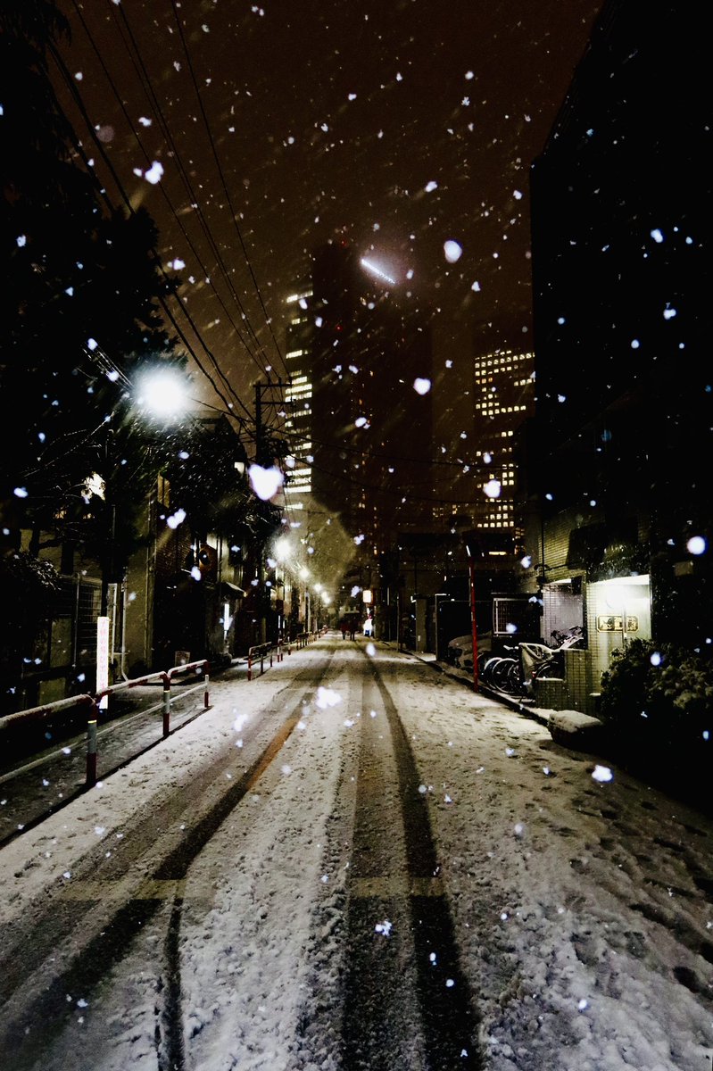 8X8X4X's tweet photo. カメラ持ってると雪でも散歩しちゃうね（凍えた） https://t.co/9Mm0xNCaPV