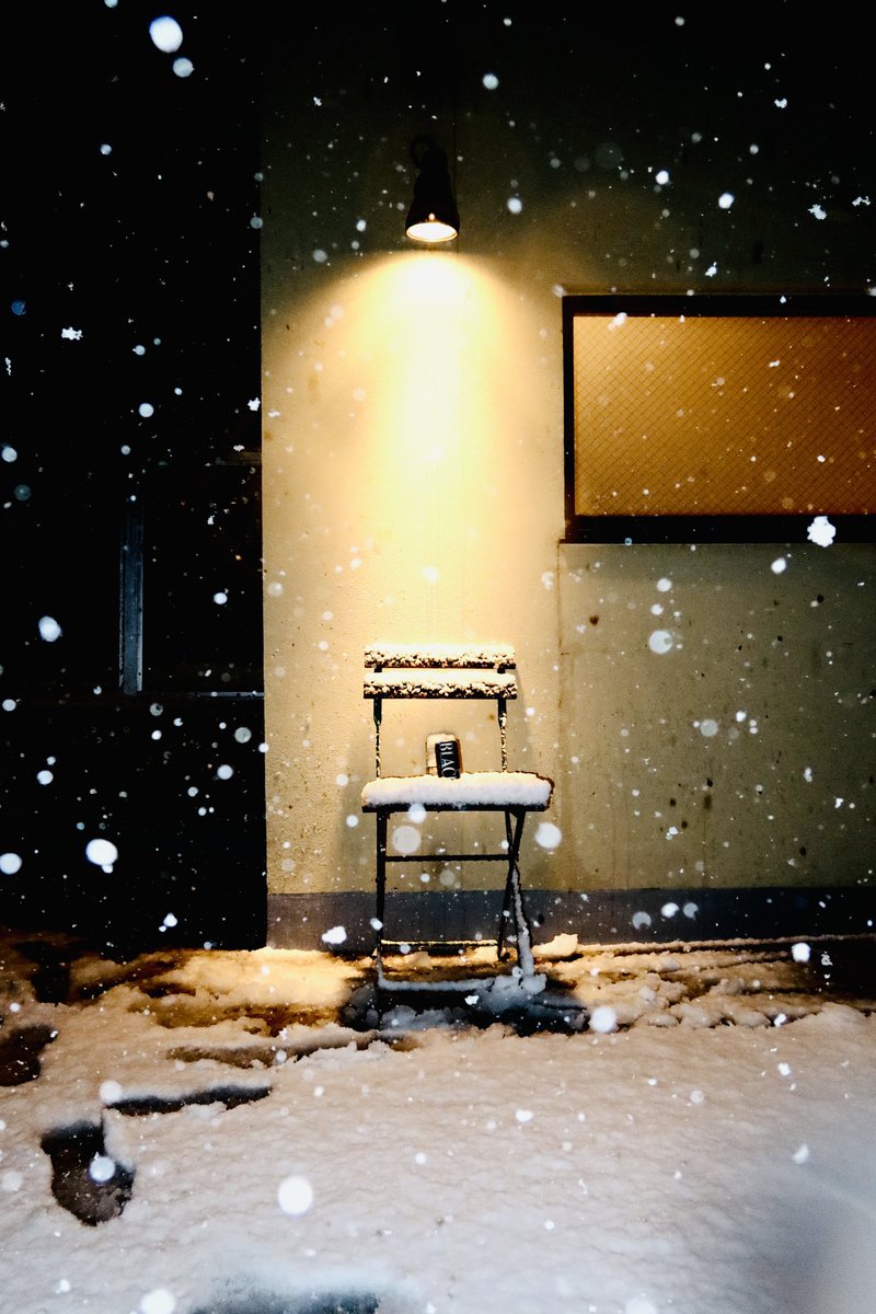 8X8X4X's tweet photo. カメラ持ってると雪でも散歩しちゃうね（凍えた） https://t.co/9Mm0xNCaPV