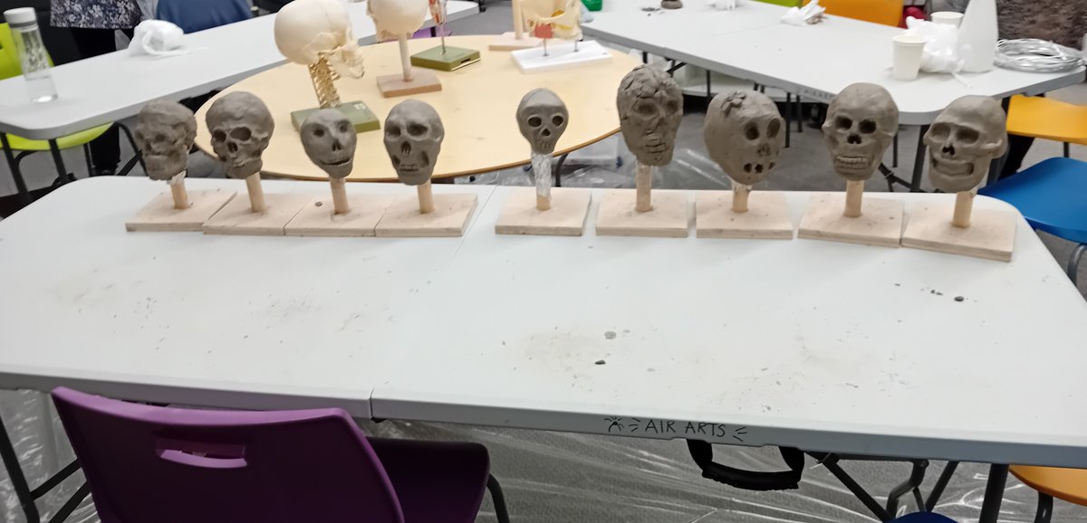 Brilliant sculpture work by UHDB staff with sculptor Simon Watson inspired by the anatomy objects in our Medical Museum collection @UHDBLibrary @HeritageFundM_E @UHDBTrust @hospitalcharity #clay #sculpture #heritage #anatomy #museum