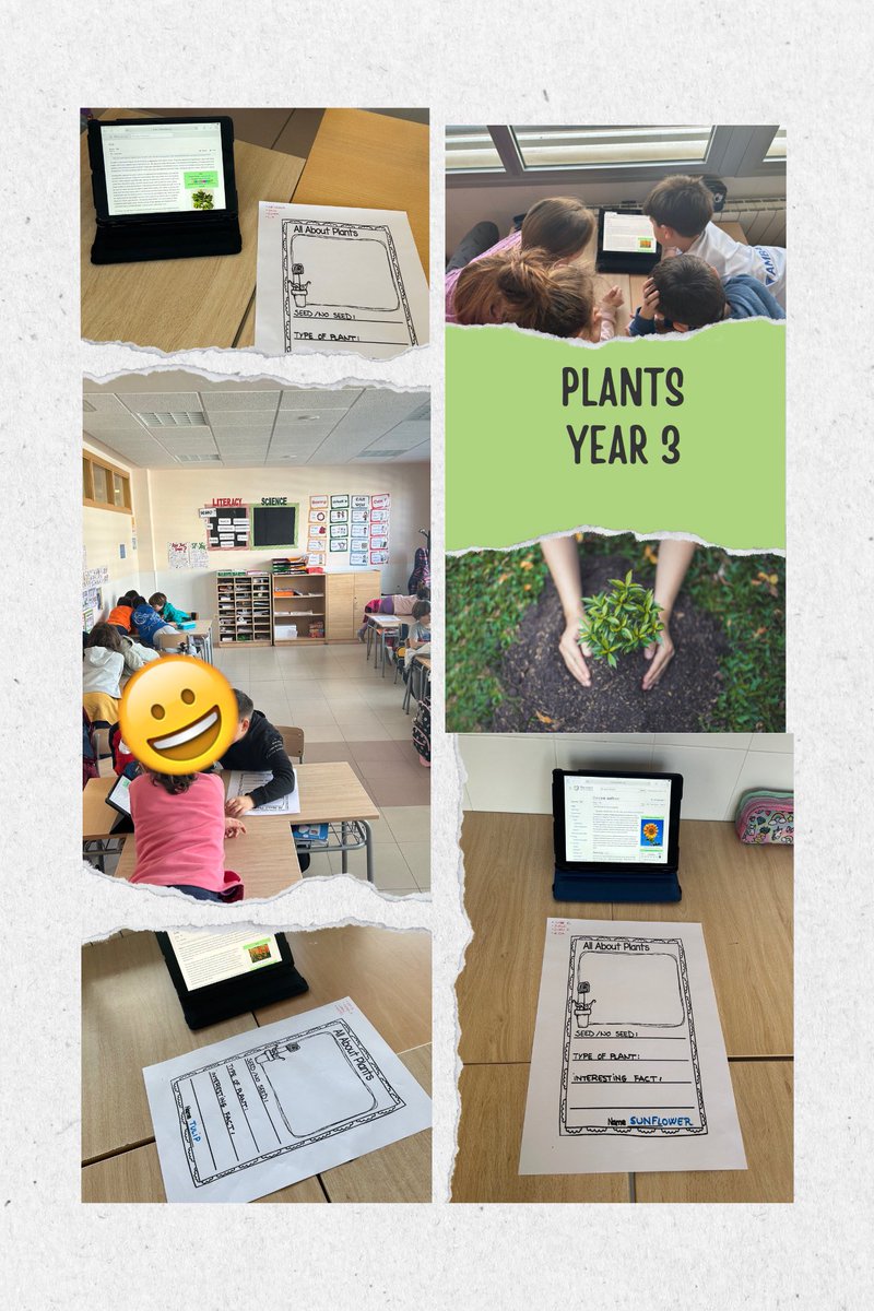 María Burriel tweet media