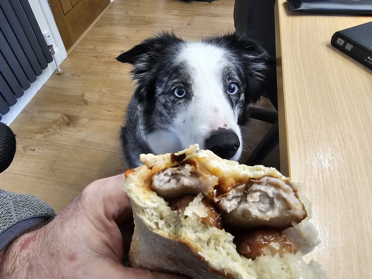 Jasper Collie 🏴󠁧󠁢󠁳󠁣󠁴󠁿 tweet media