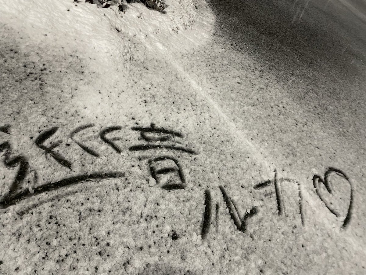 雪だ!!!!!!!!!!!!!!!!!!!!!!!!!!