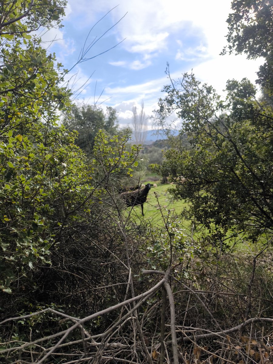 UrbanExplorer7's tweet photo. Όμορφες βόλτες της Κυριακής στον καταρράκτη στο Βαθυλιμνο
#outdoors #winterswim #Waterfall https://t.co/kPkll3Fefz