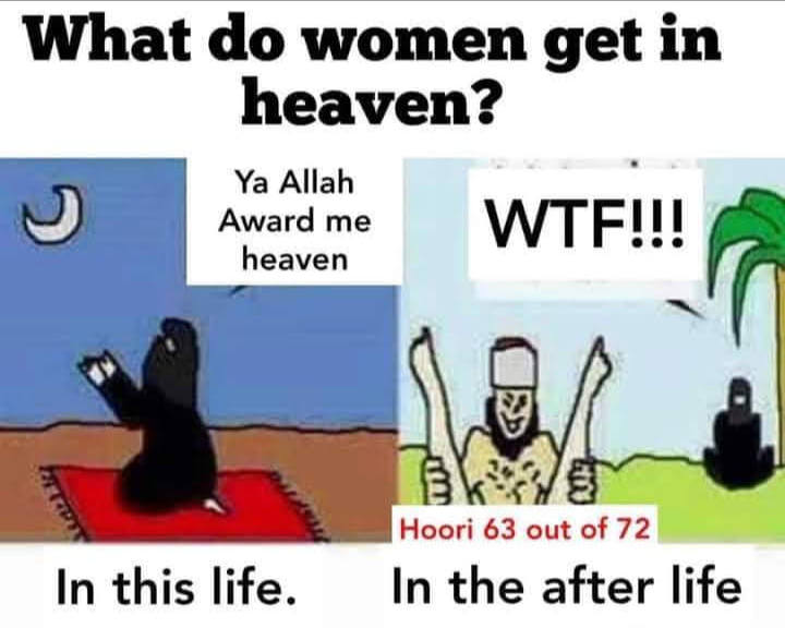 Men will get virgins in Jannat.  What will the wife get in Jannat?  She will be in charge of her husband's allotted virgins in Jannat. She'll watch porn for eternity.

Islam gives great rights to women.  Which woman wouldn't like to be the madame of her husband's celestial