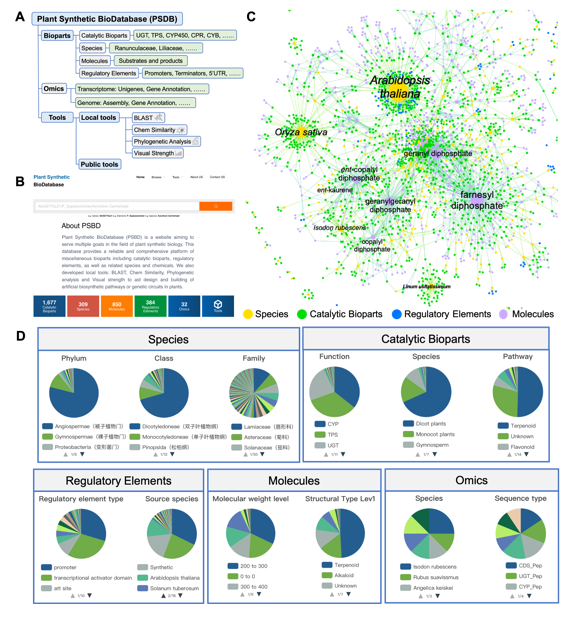 MPlantPCom's tweet photo. An Integrative Database and Its Application for Plant Synthetic Biology Research #resource #PlantCommunications https://t.co/gdELsP1lru https://t.co/sot59c5PAu