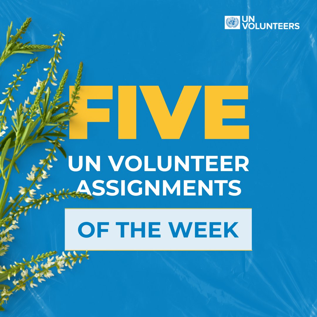 UNVolunteers tweet picture