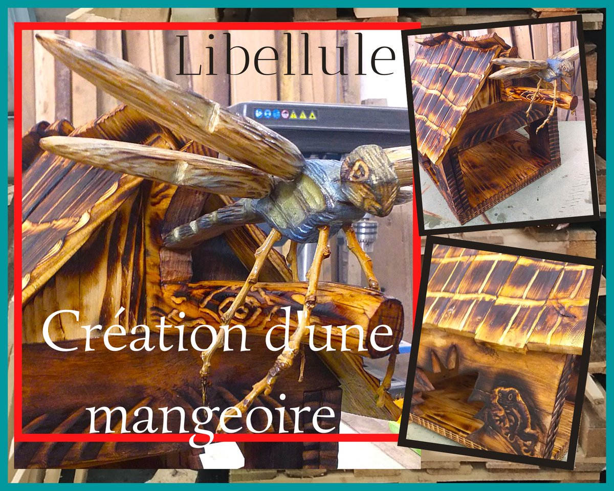 JeffCollinSV's tweet image. Dragonfly: transform pallet wood into a magnificent garden decoration bird feeder
Click here youtu.be/k9fs2ekV9s8
#video #dragonfly #pallet #feeder #bird #mangeoire #garden #decoration #gardendeco